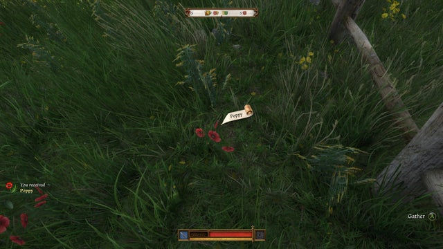 Kingdom Come Deliverance 2. Алхимия и травы