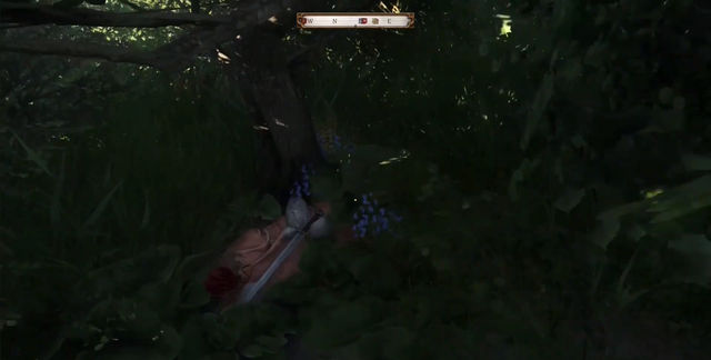 Kingdom Come Deliverance 2. Сокровища