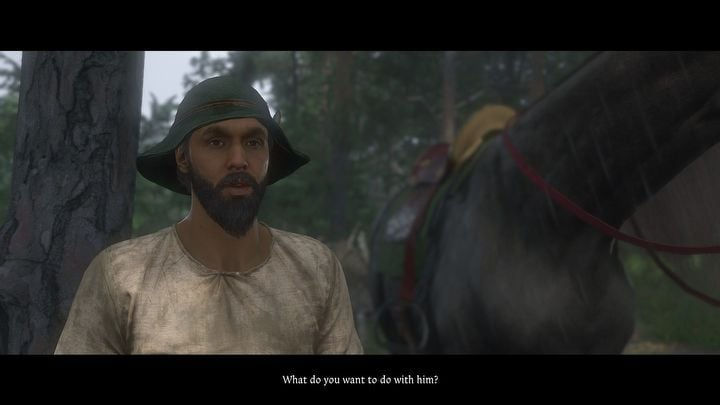 Kingdom Come Deliverance 2. Лучшая лошадь