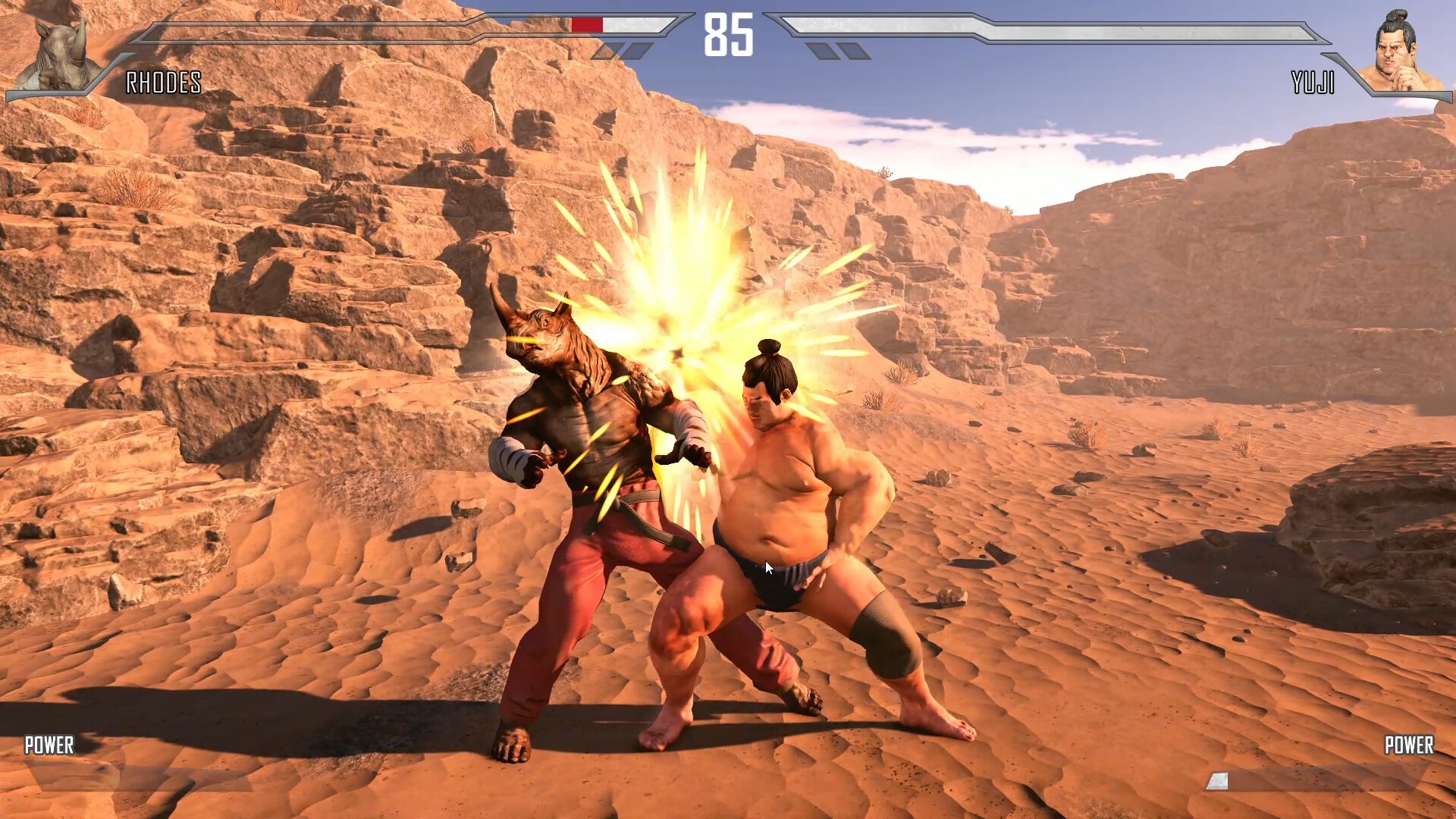 Mortal Fighter