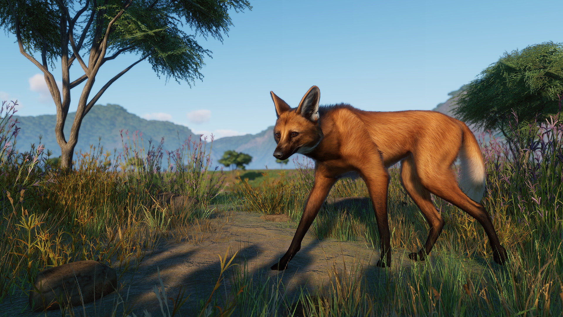 Planet Zoo: Grasslands
