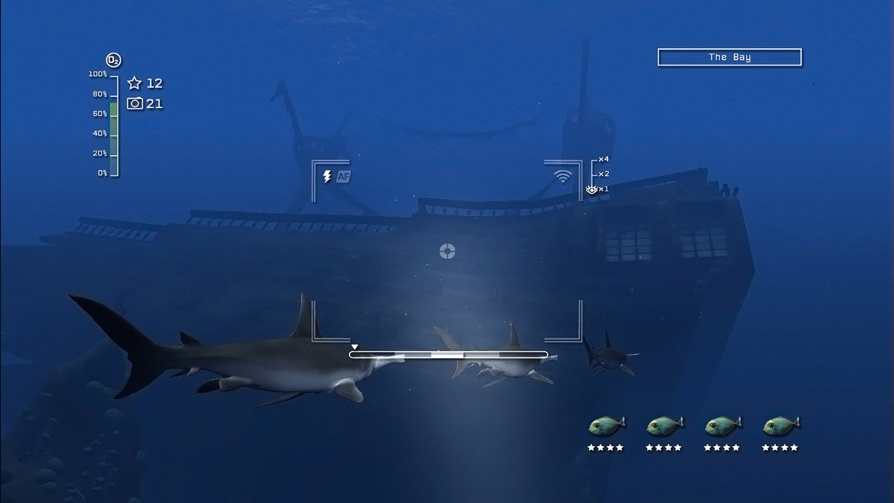 Reef Shot