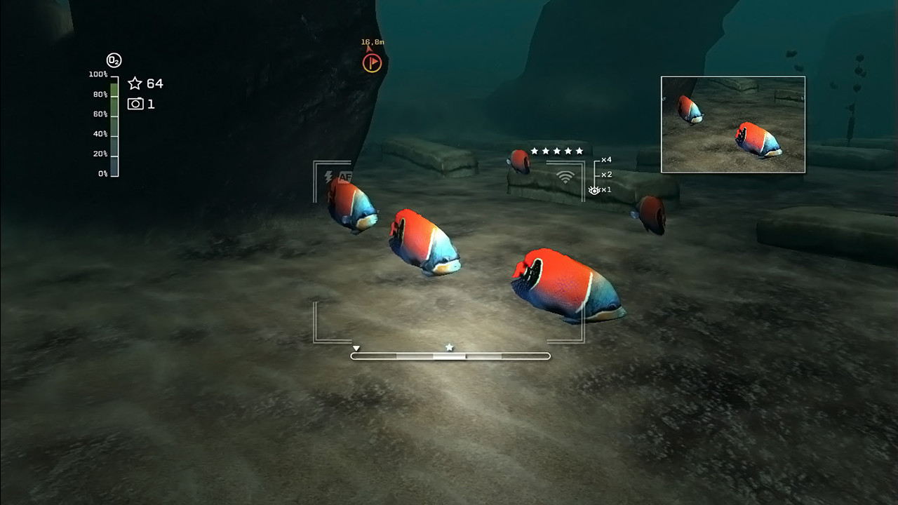 Reef Shot