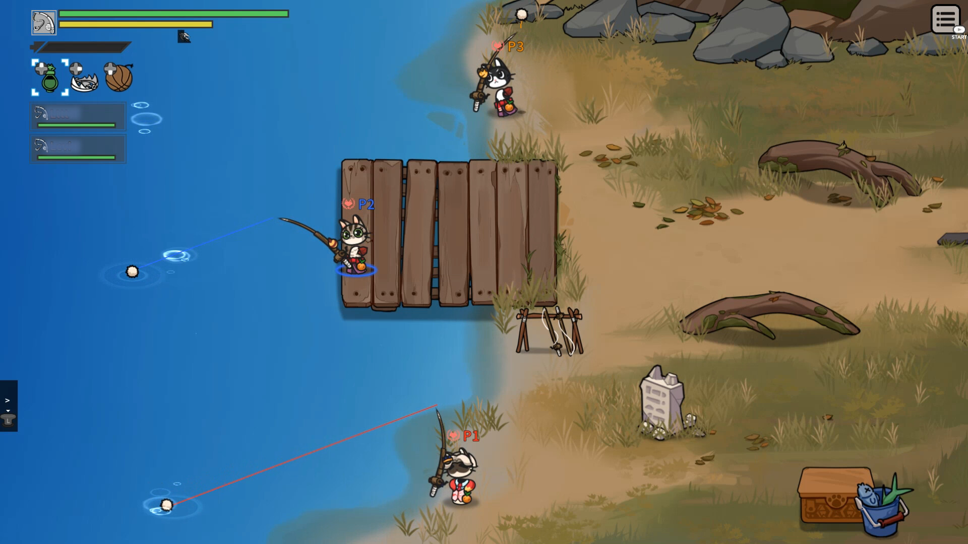 Cat Gladiator