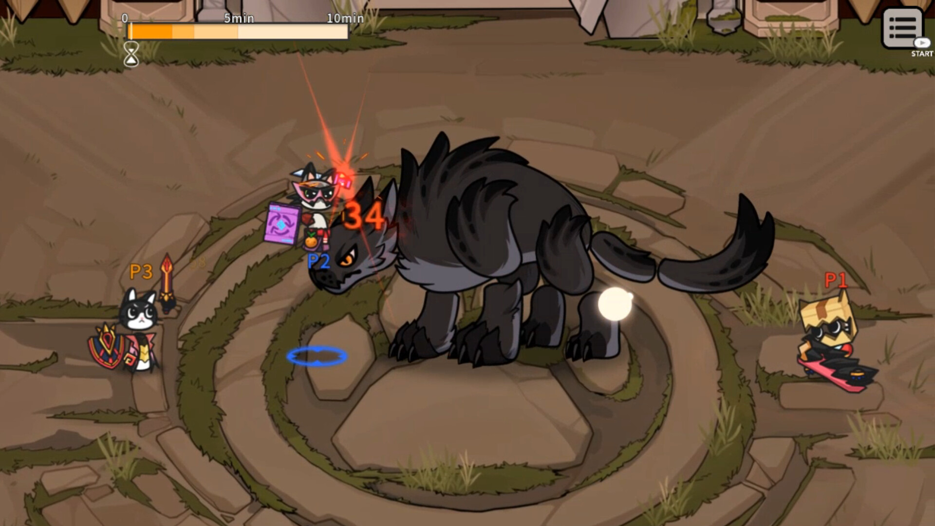 Cat Gladiator