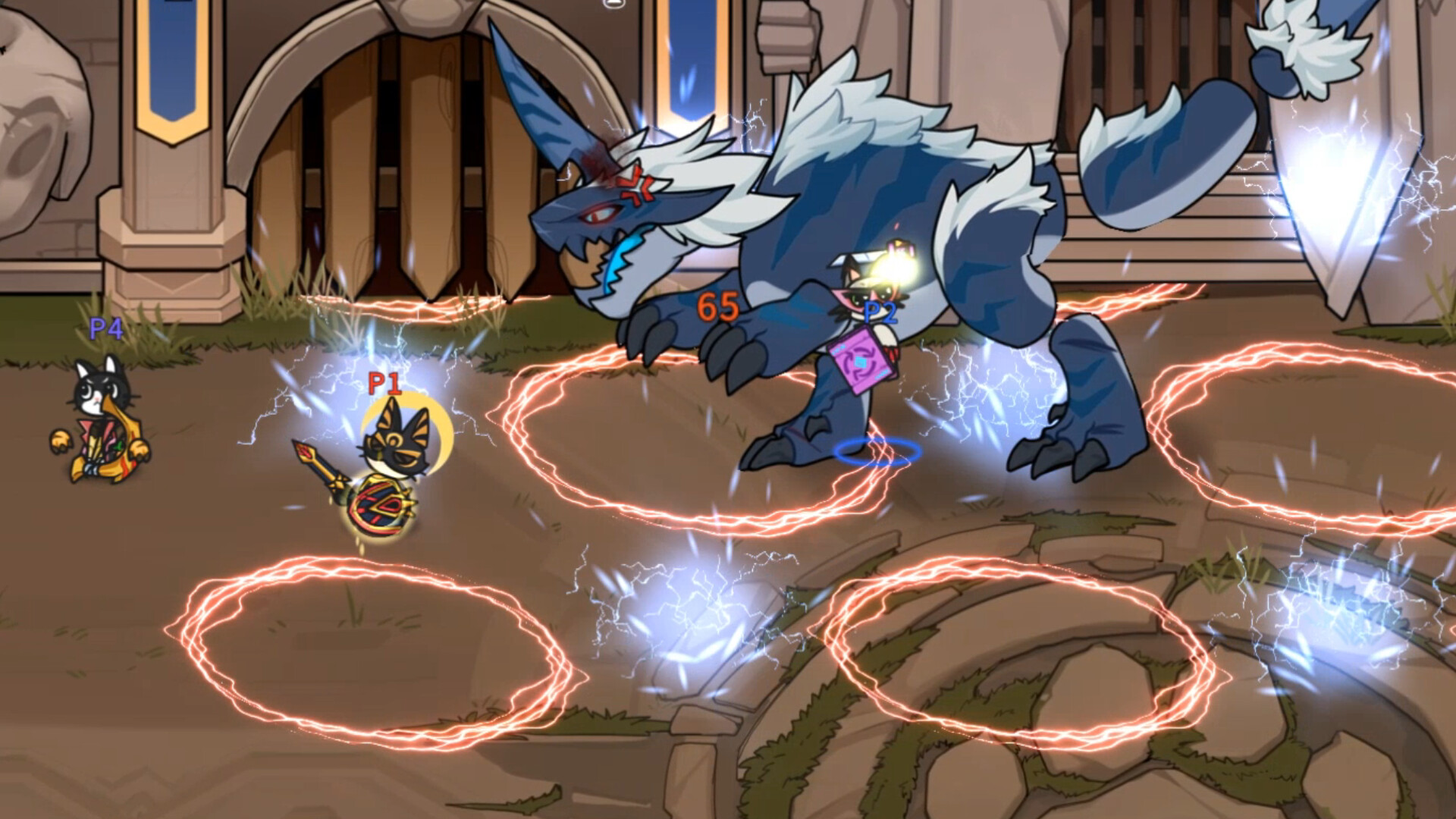 Cat Gladiator