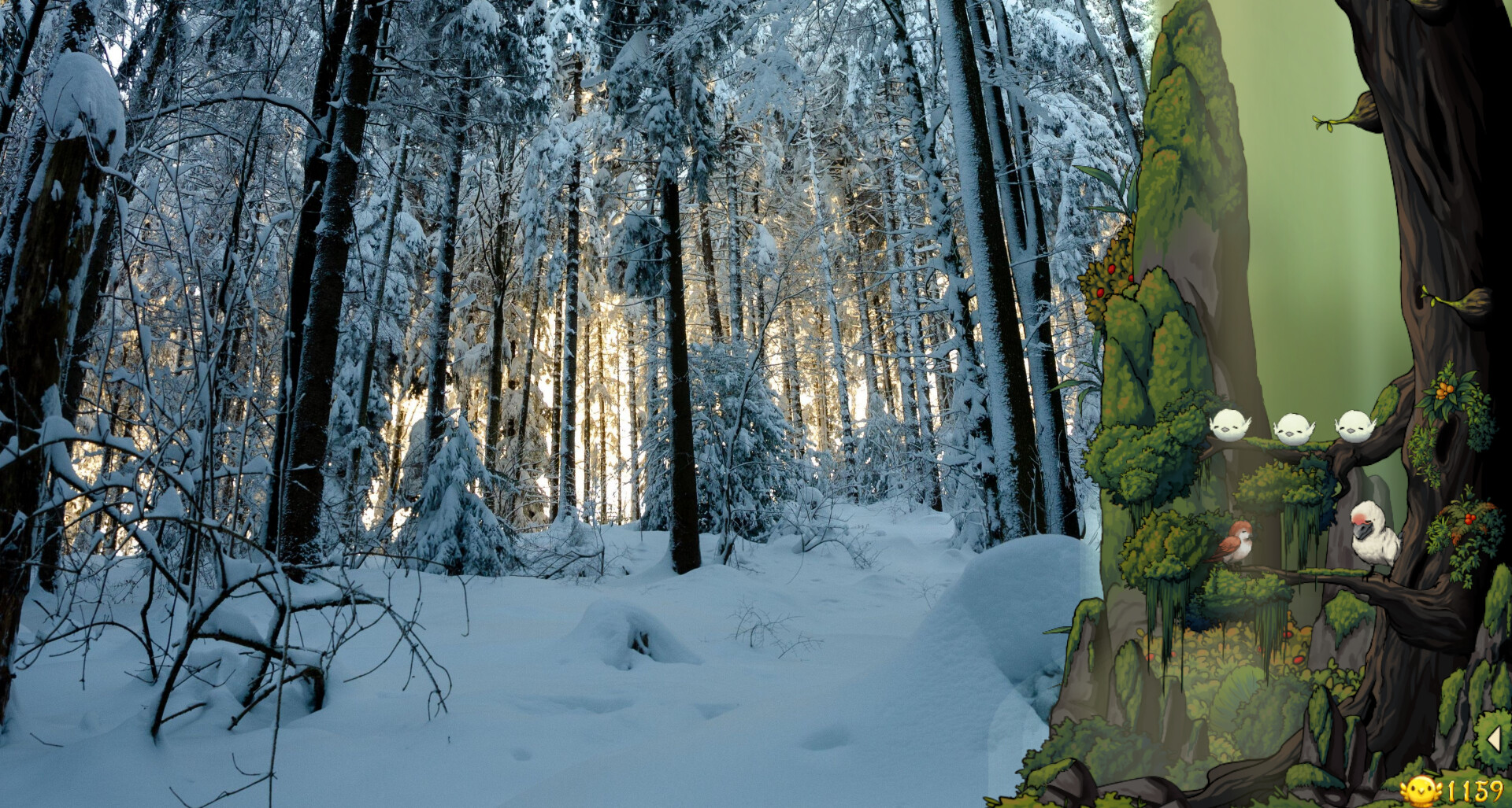 Fantasy Bird Woods скриншоты