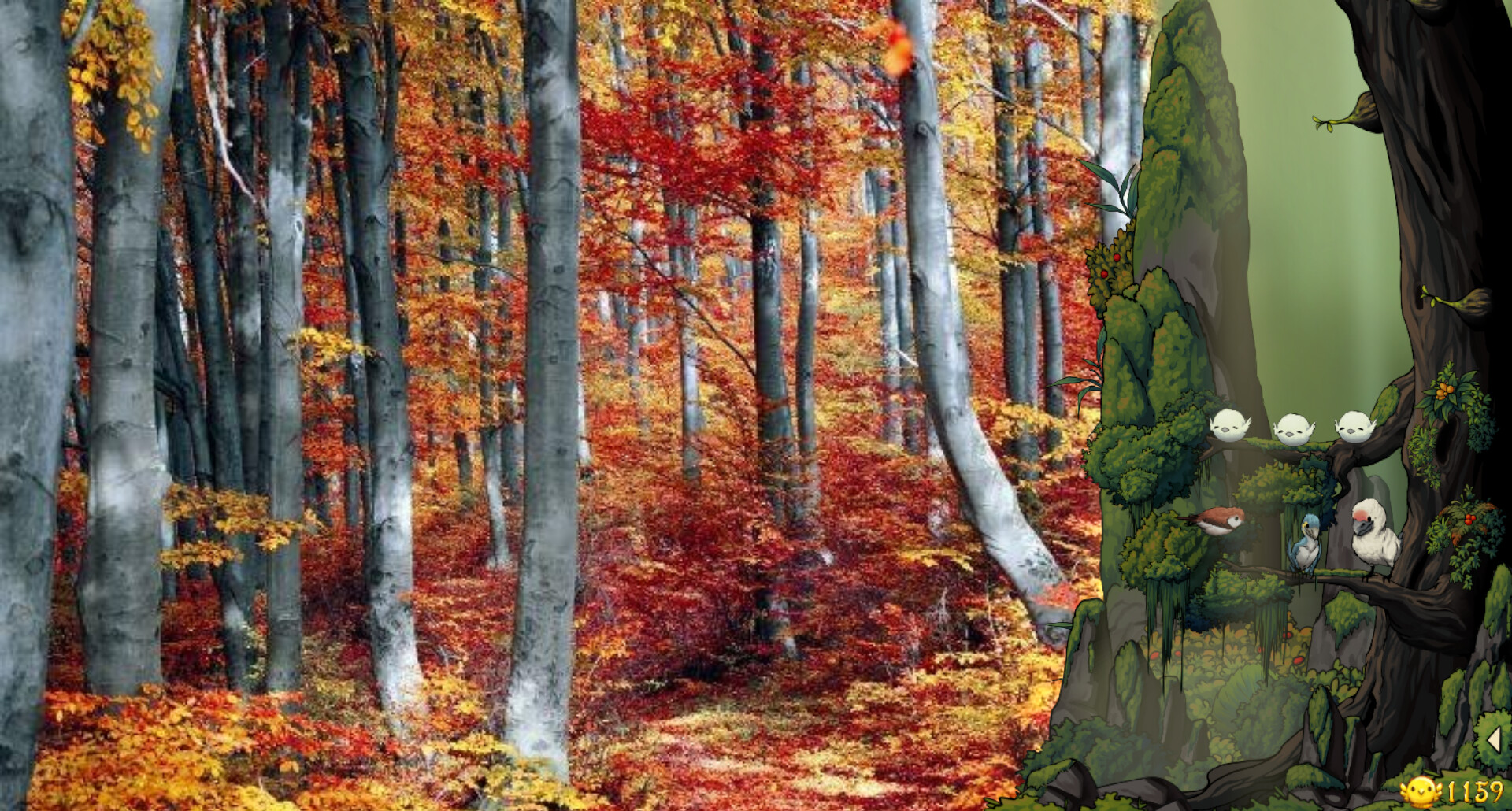 Fantasy Bird Woods скриншоты