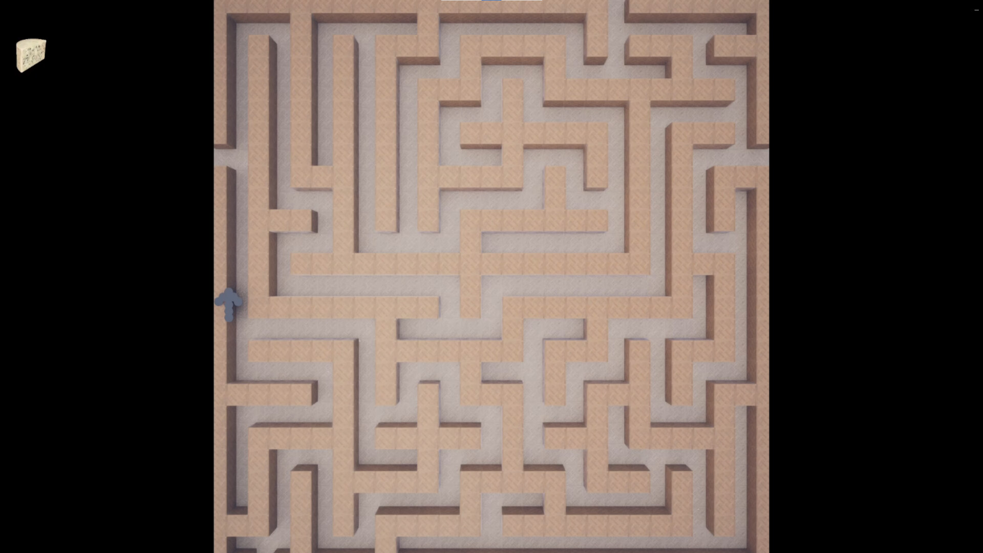 Labyrinth of Whiskers
