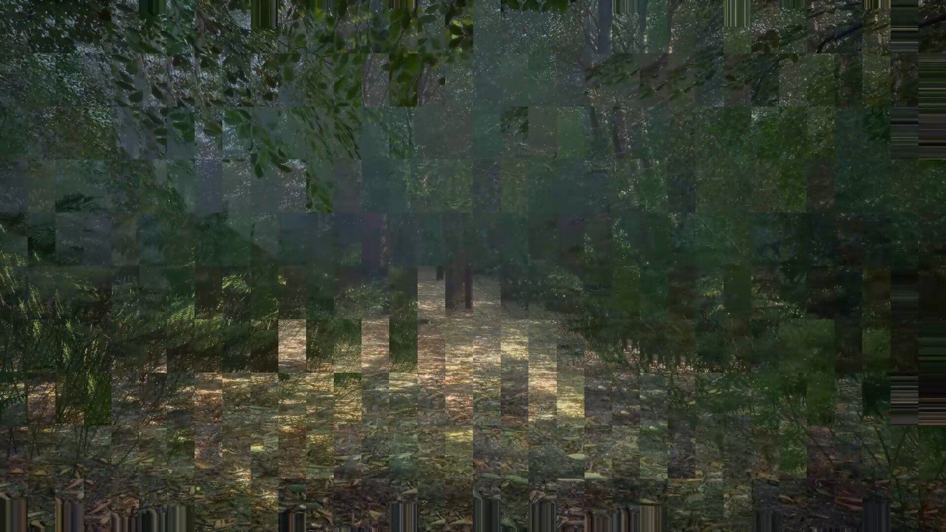 Obey the Rules: Forest