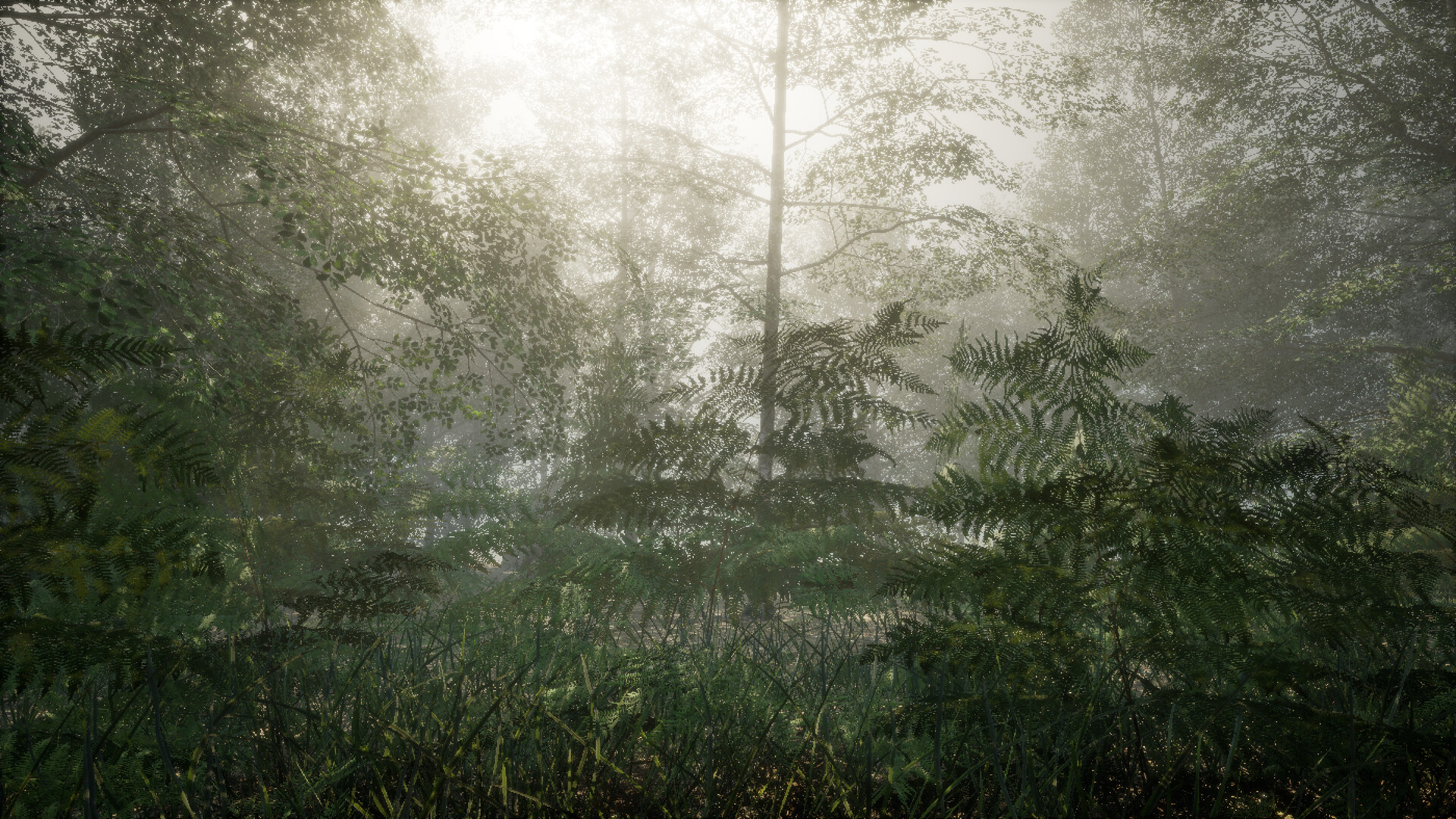 Obey the Rules: Forest