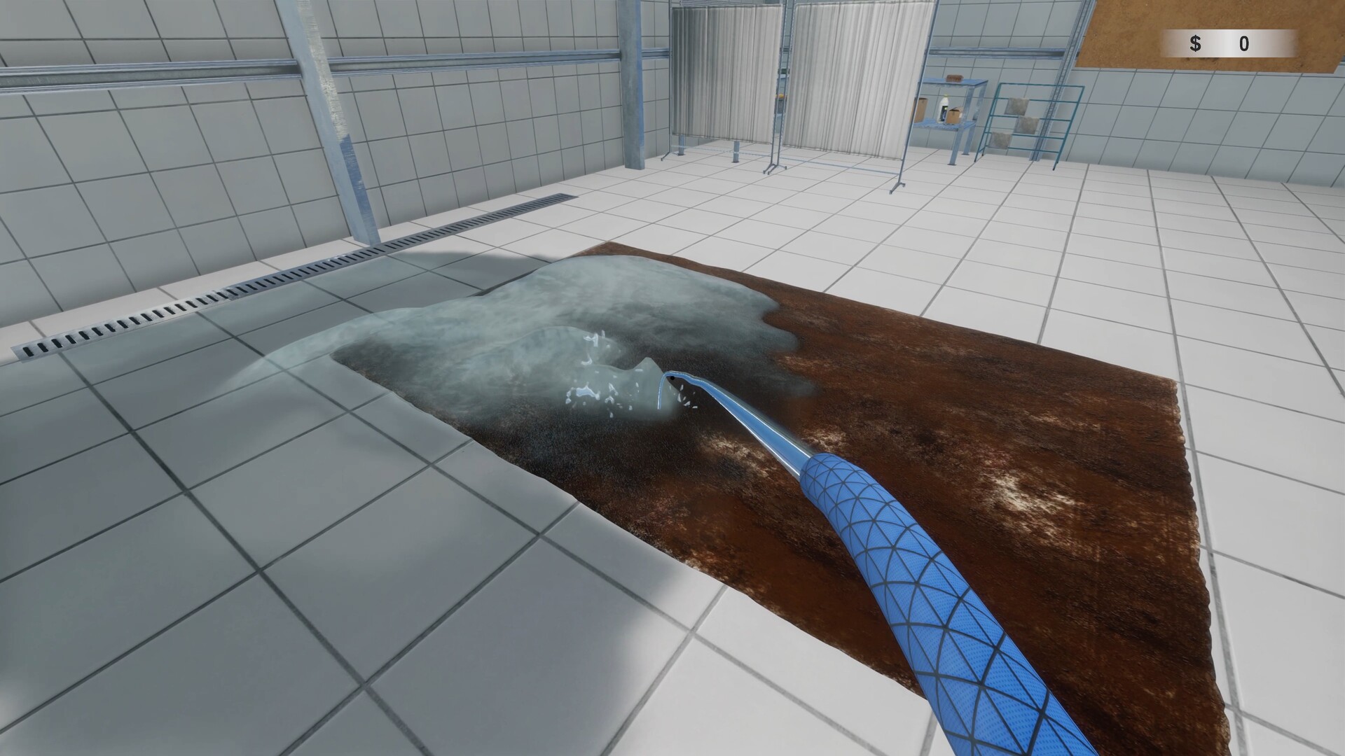 Carpet Cleaning Simulator