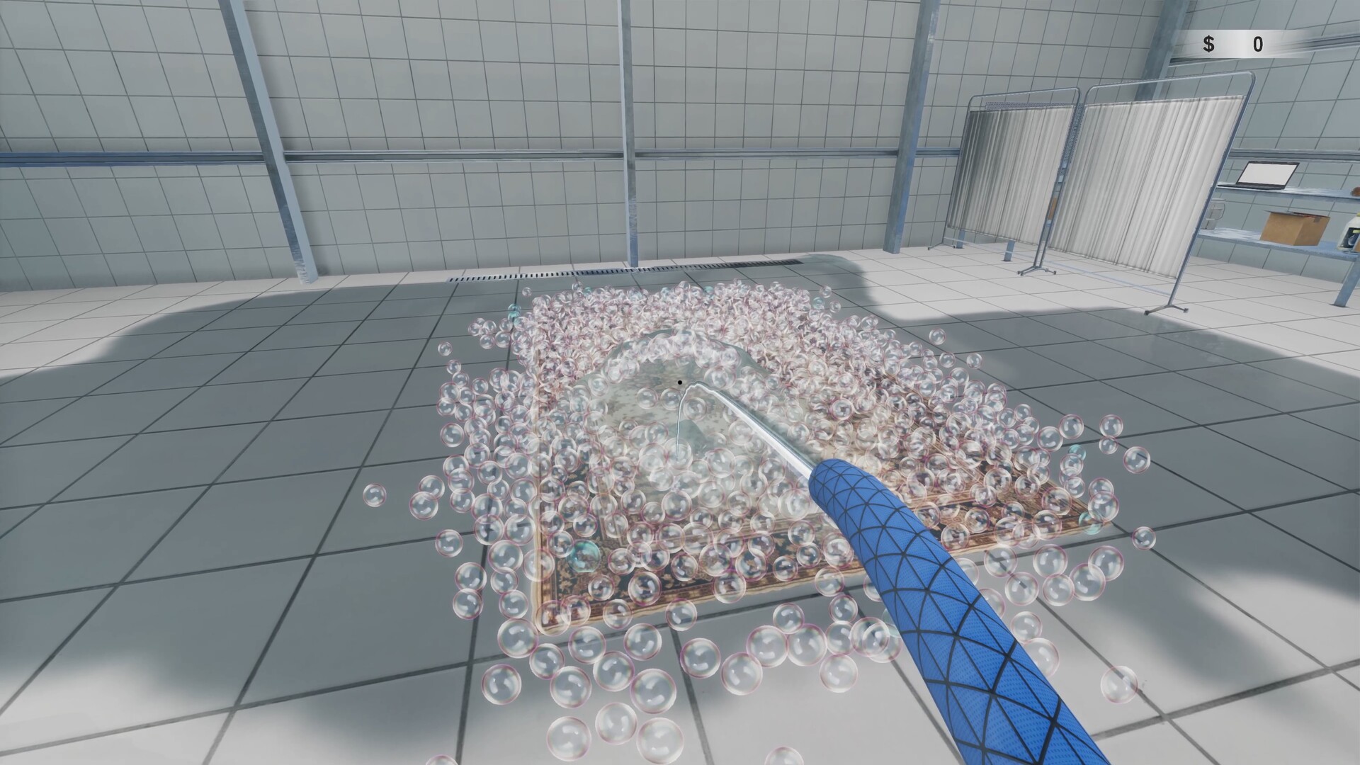 Carpet Cleaning Simulator