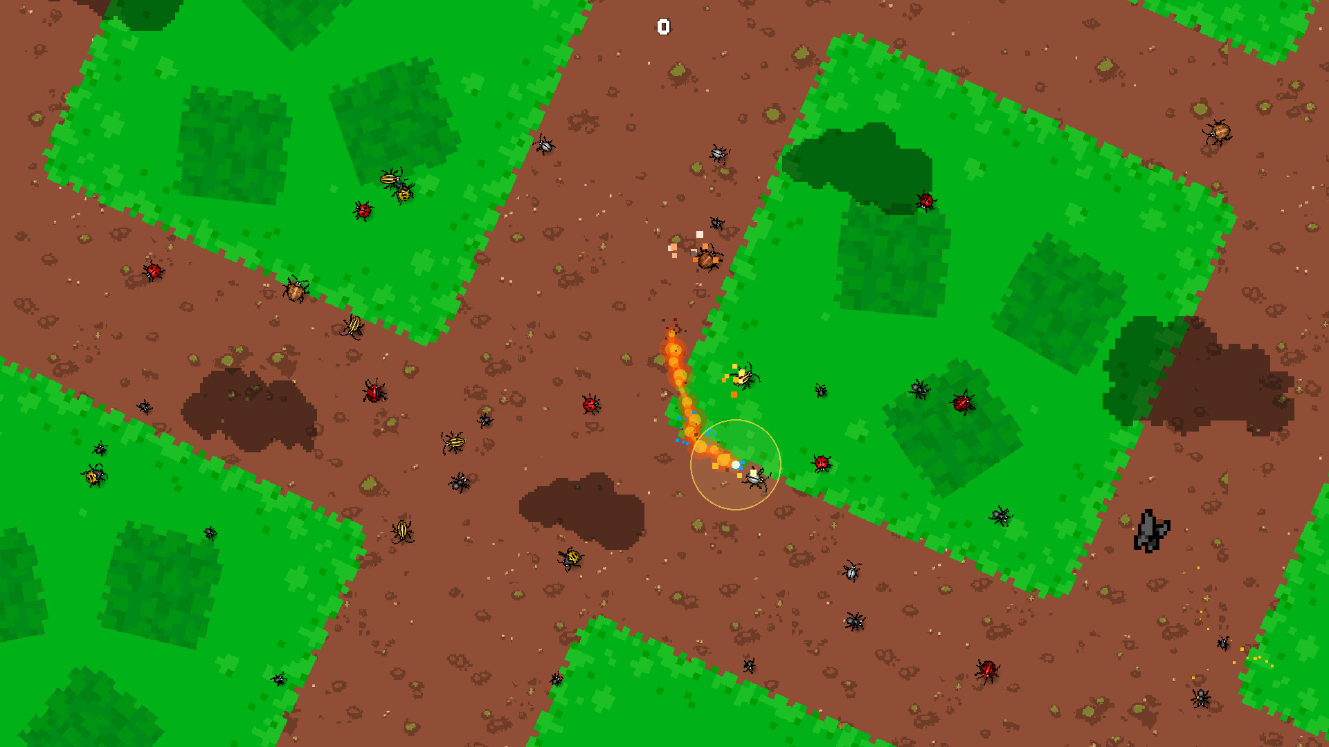 Fire Bug