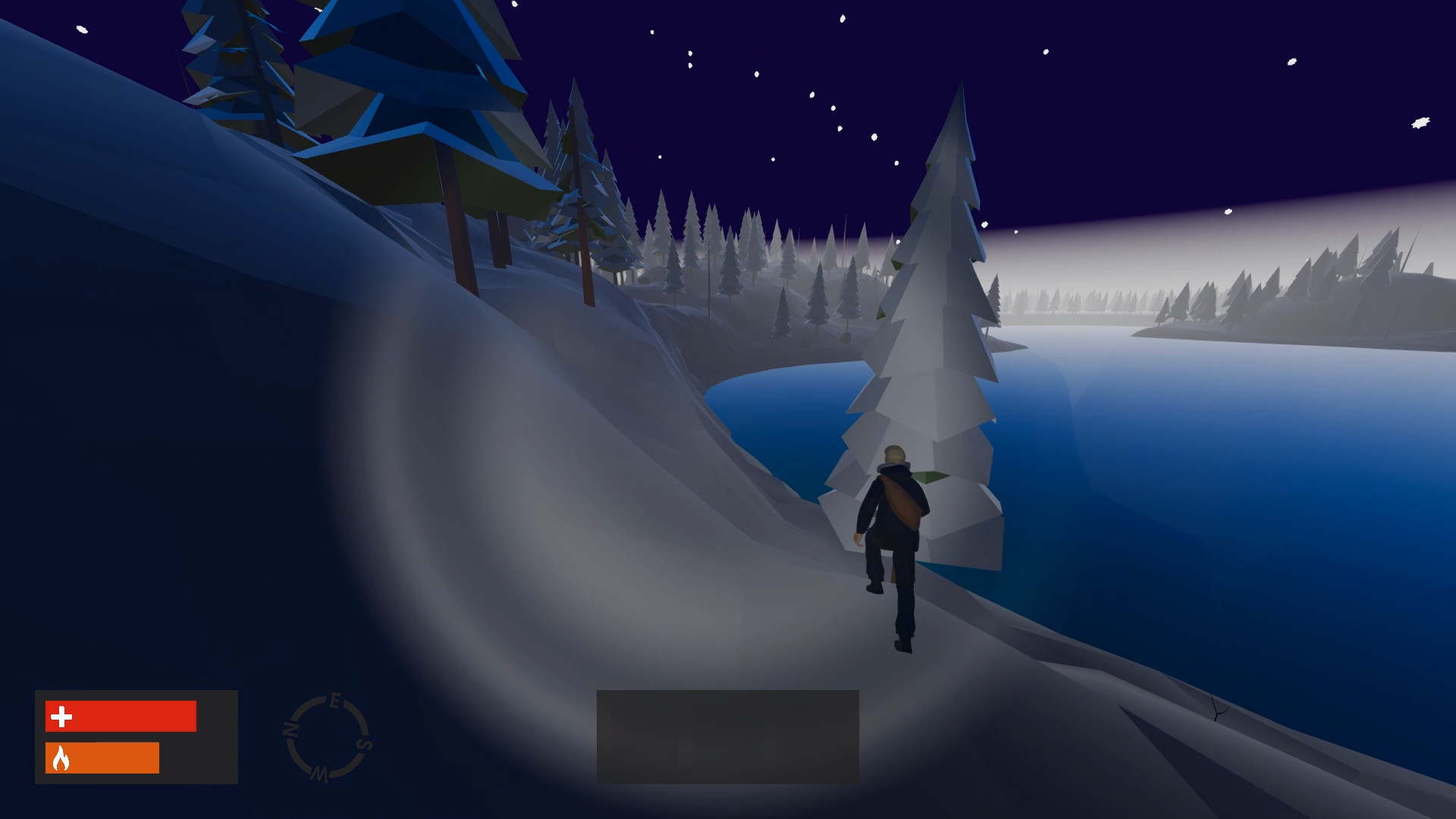 True North