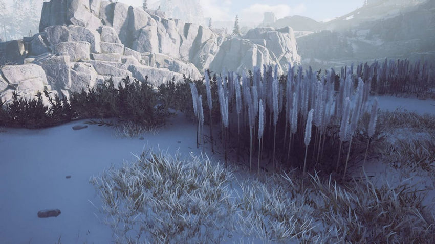 Winter Survival. Ресурсы