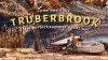 прохождение Truberbrook – A Nerd Saves the World