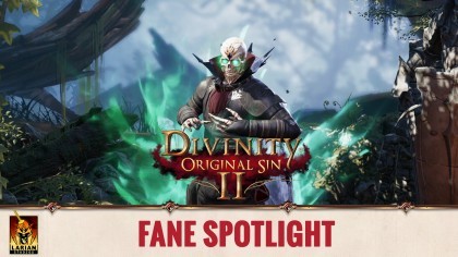 видео Divinity: Original Sin II