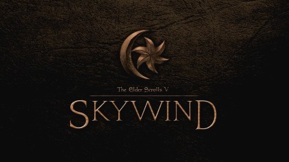 видео The Elder Scrolls V: Skyrim