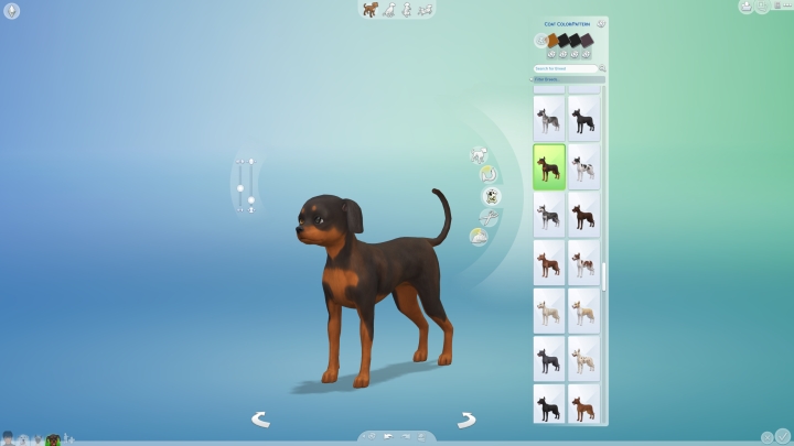 гайд по прохождению The Sims 4 кошки и собаки