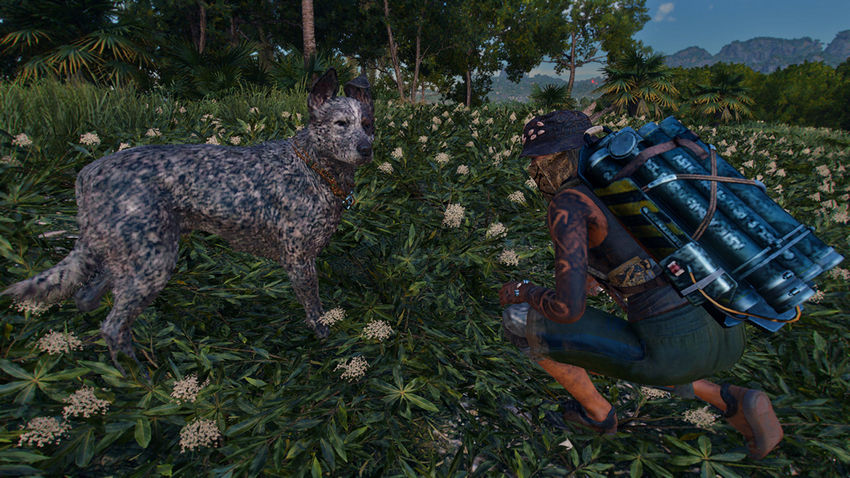 питомцы Far Cry 6