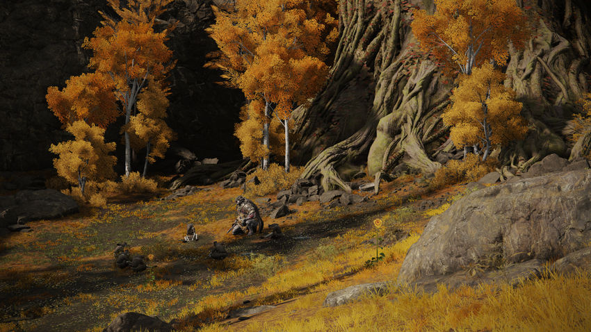 прохождение Elden Ring