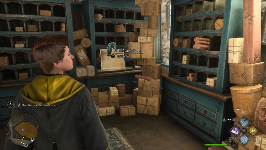 страницы полевого руководства Hogwarts Legacy в Хогсмиде