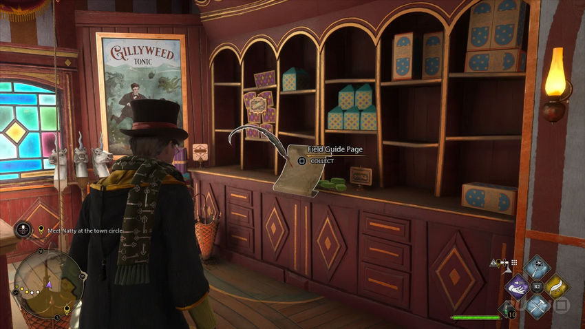 страницы полевого руководства Hogwarts Legacy в Хогсмиде