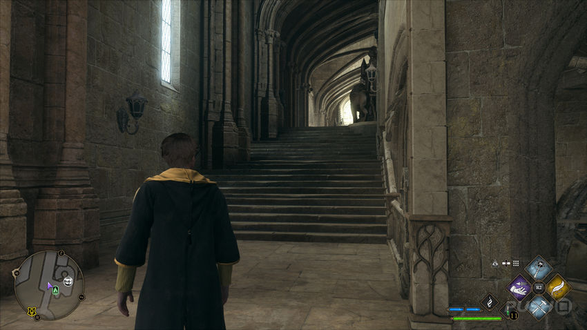 страницы полевого руководства Hogwarts Legacy Левиозо