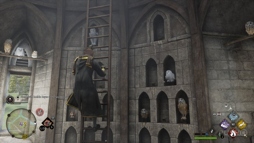 страницы полевого руководства Hogwarts Legacy Левиозо
