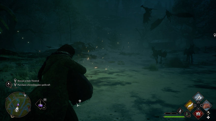 Комната Требований Hogwarts Legacy