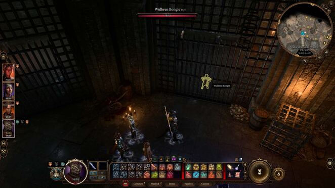 Baldurs Gate 3. Побочные миссии