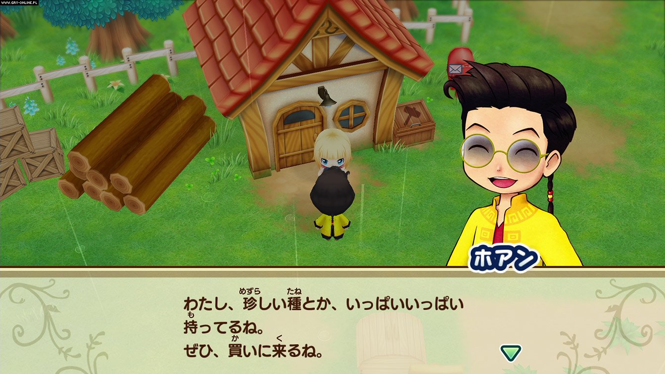 Story of Seasons: Friends of Mineral Town
