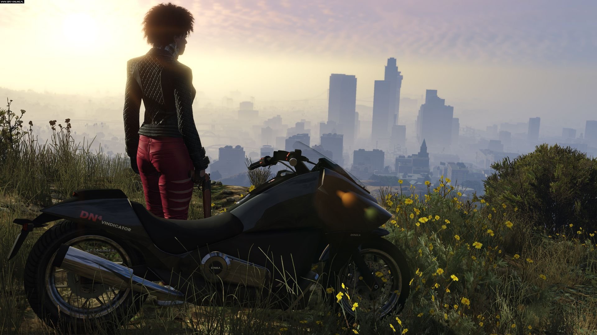 Grand Theft Auto Online