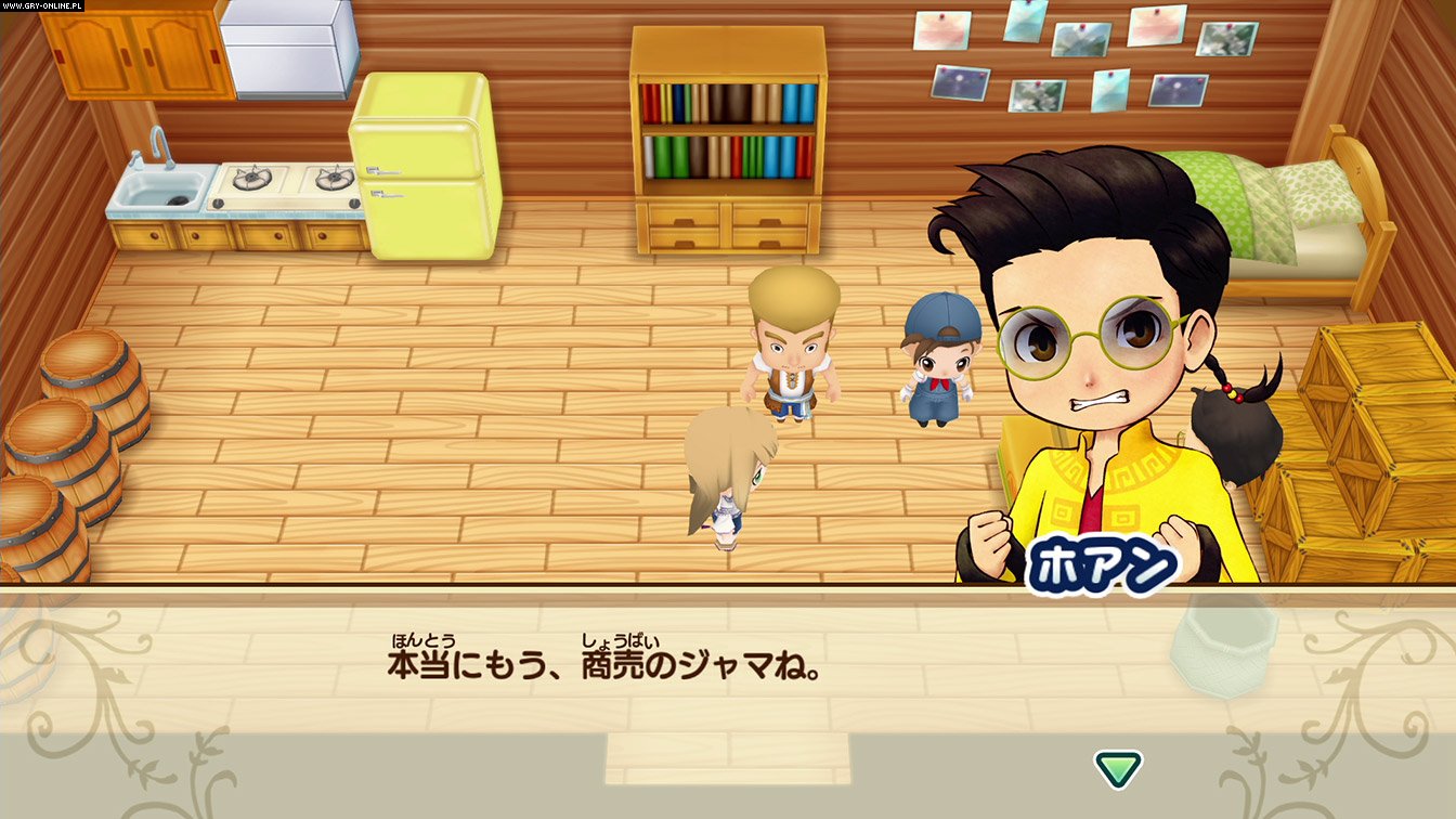 Story of Seasons: Friends of Mineral Town