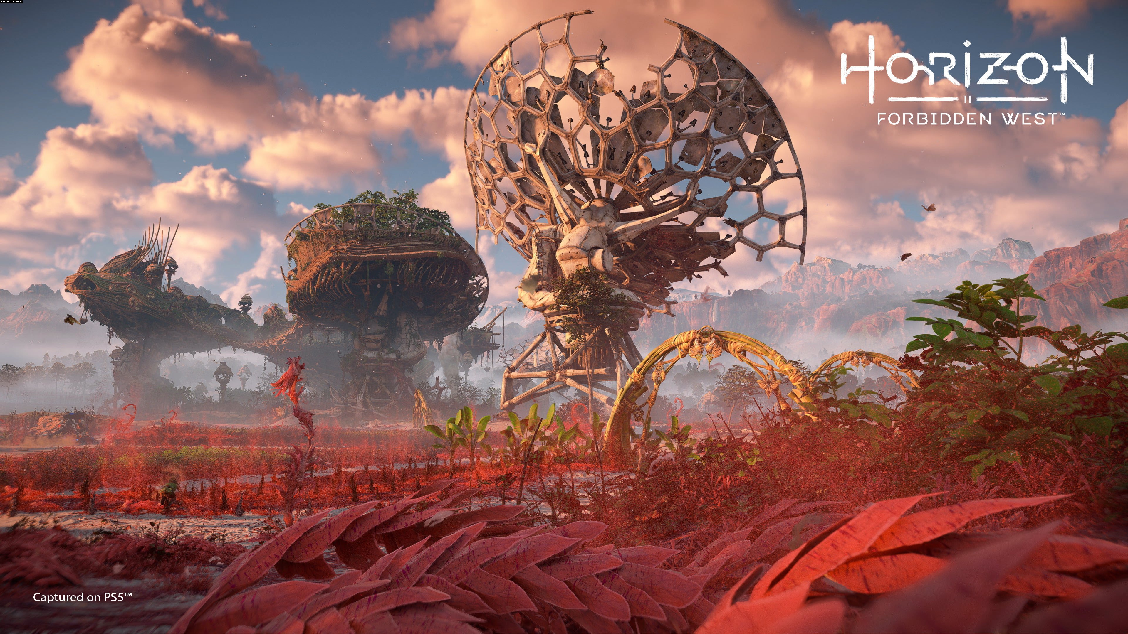 Horizon: Forbidden West