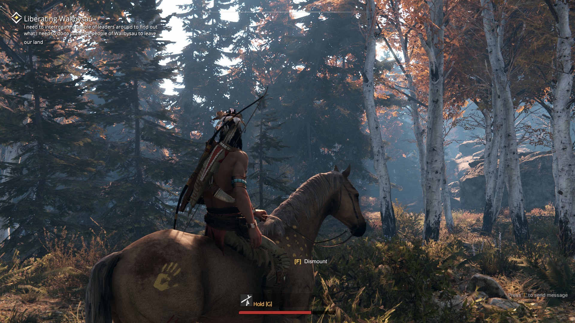 This Land is My Land