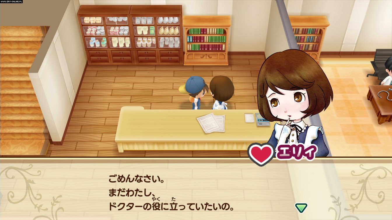 Story of Seasons: Friends of Mineral Town