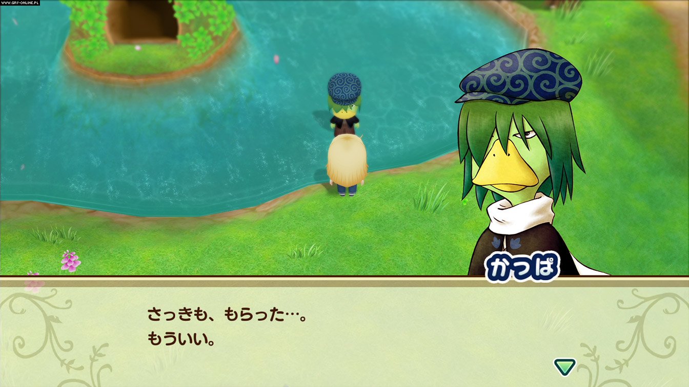 Story of Seasons: Friends of Mineral Town