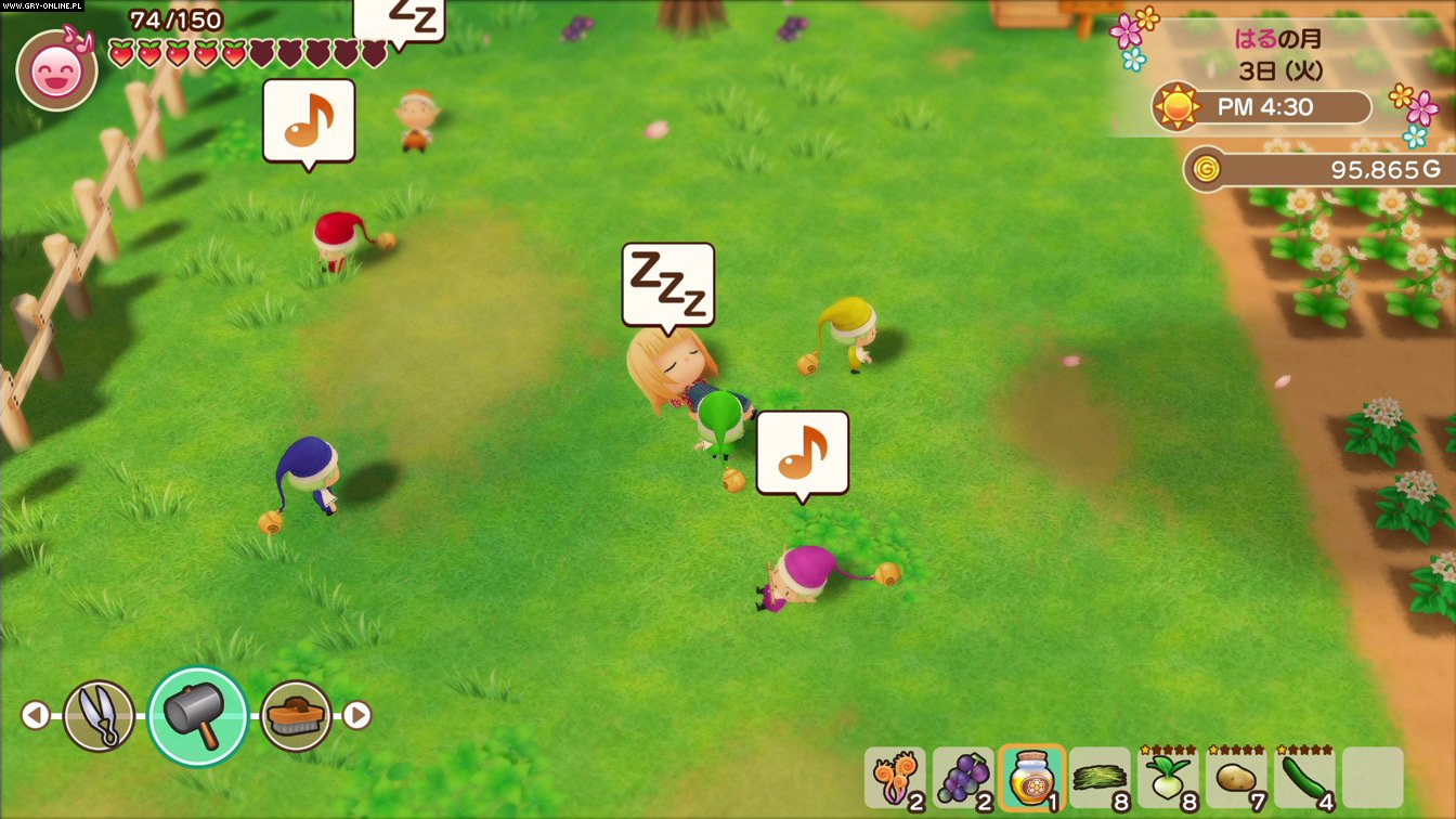 Story of Seasons: Friends of Mineral Town