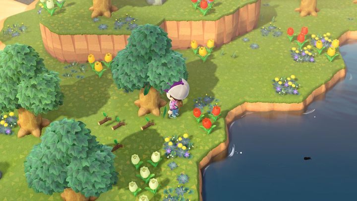 Animal Crossing: New Horizons