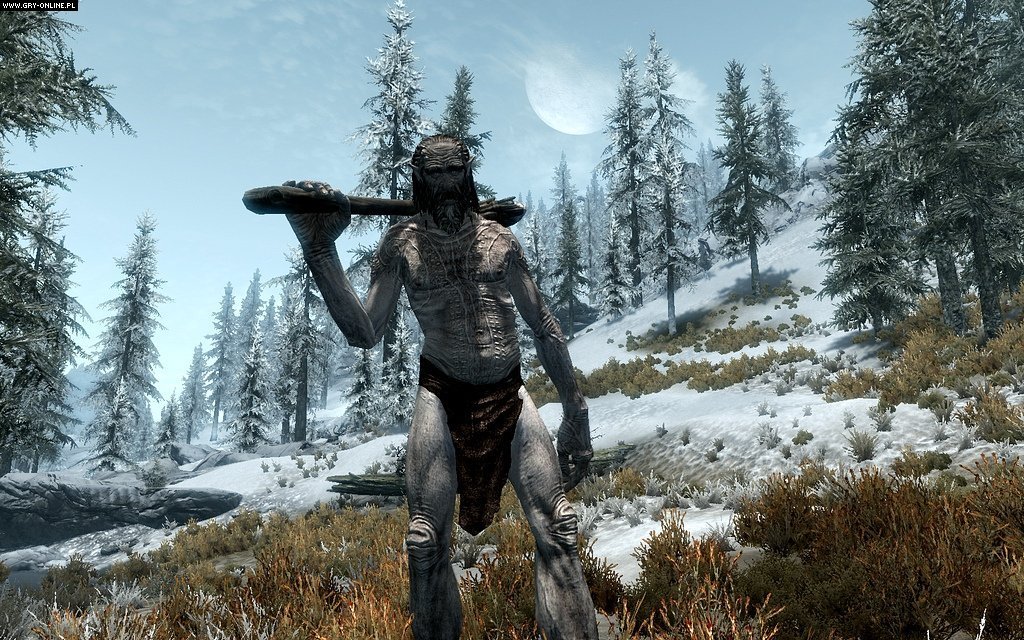 The Elder Scrolls V: Skyrim Anniversary Edition