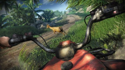 Far Cry 3 игра
