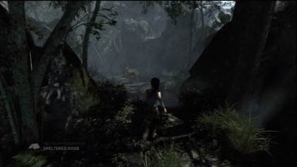 Tomb Raider (2013) скриншоты