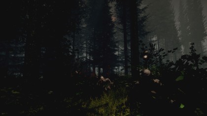 The Forest скриншоты