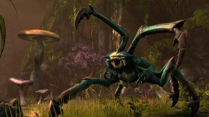 The Elder Scrolls Online скриншоты