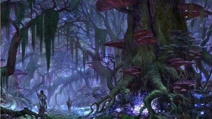 The Elder Scrolls Online игра