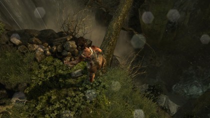 Tomb Raider (2013) скриншоты