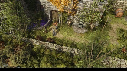 Divinity: Original Sin II игра
