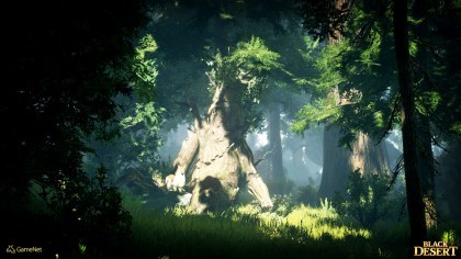 Black Desert Online скриншоты